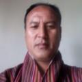 lhama